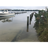 September high tide Portsmouth image